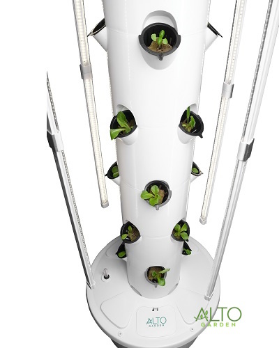 tower garden